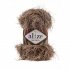 Alize Decofur 541