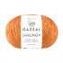 Gazzal Darling 557