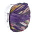 Laines Du Nord Carnival Sock 4