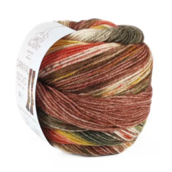 Laines Du Nord Carnival Socks 5 Laines Du Nord Carnival Socks 5