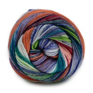 Laines Du Nord Eclectic Sock 03