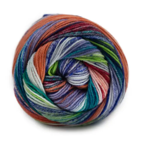 Laines Du Nord Eclectic Sock 03