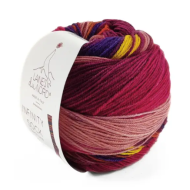 Laines Du Nord Infinity Sock 14