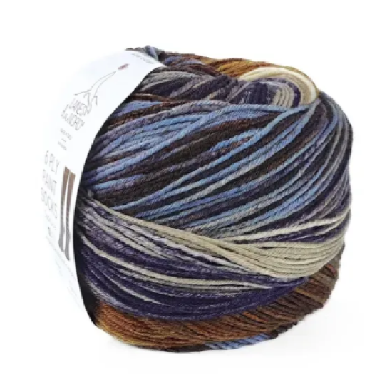 Laines Du Nord Paint Sock 1