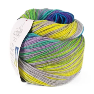 Laines Du Nord Paint Sock 10