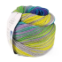 Laines Du Nord Paint Sock 10