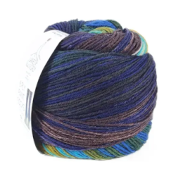 Laines Du Nord Paint Sock 11