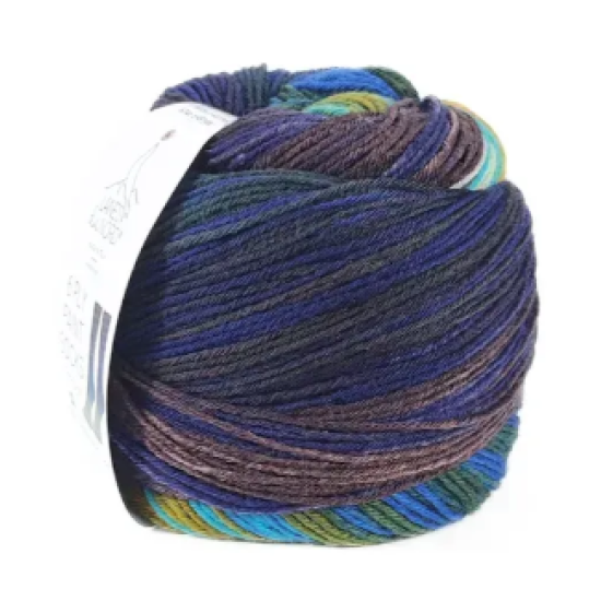 Laines Du Nord Paint Sock 11