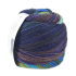 Laines Du Nord Paint Sock 11
