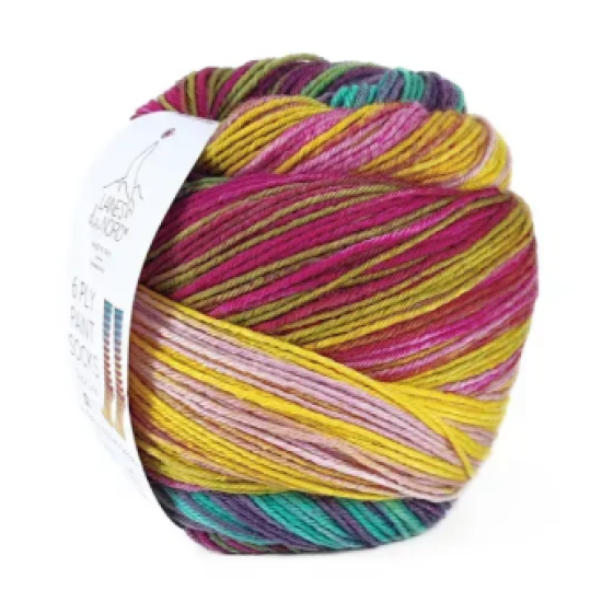 Laines Du Nord Paint Sock 12