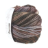 Laines Du Nord Paint Sock 5