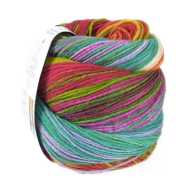 Laines Du Nord Paint Sock 7