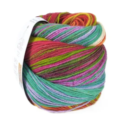 Laines Du Nord Paint Sock 7