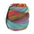 Laines Du Nord Paint Sock 7