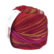 Laines Du Nord Paint Sock 9