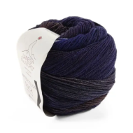 Laines Du Nord WaterColor Sock 106