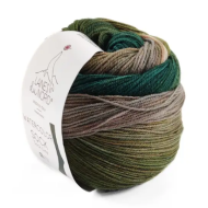 Laines Du Nord WaterColor Sock 200