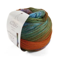 Laines Du Nord WaterColor Sock 201