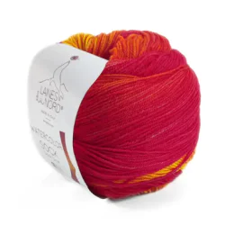 Laines Du Nord WaterColor Sock 202