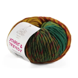 Laines Du Nord Young & Trendy 5