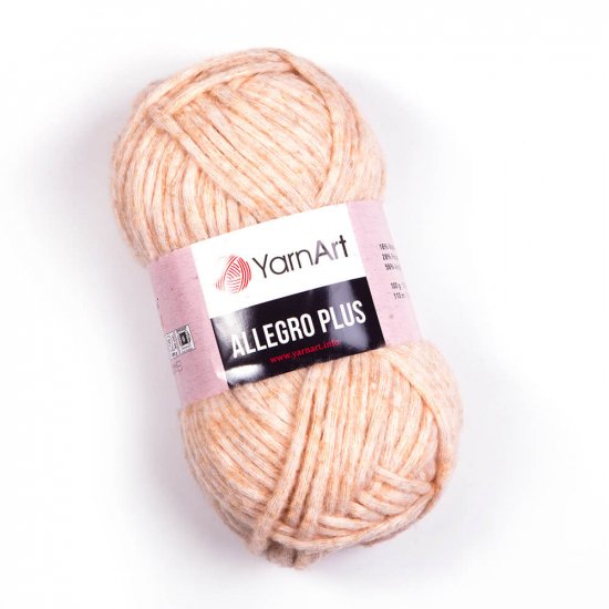 YarnArt Allegro Plus 704