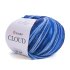YarnArt Cloud 5304