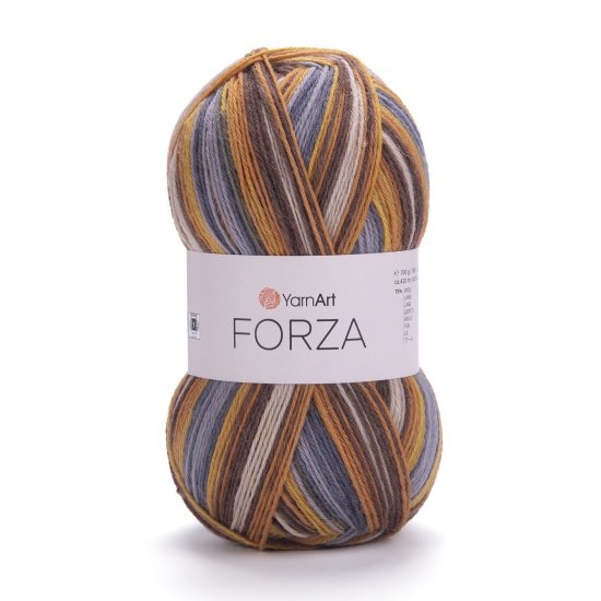 YarnArt Forza 2504