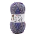 Forza Stripe