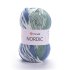 YarnArt Nordic 654