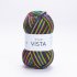 YarnArt Vista 5309
