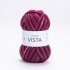 YarnArt Vista 5310