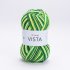 YarnArt Vista 5311